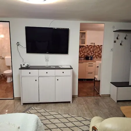 Sunshine 巴拉通雷勒